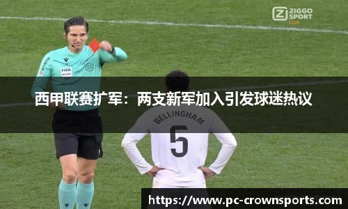西甲联赛扩军：两支新军加入引发球迷热议