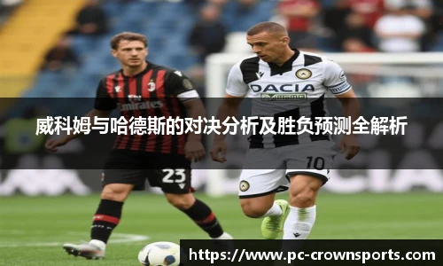威科姆与哈德斯的对决分析及胜负预测全解析