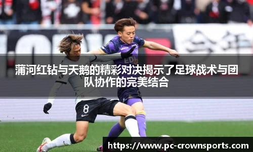 蒲河红钻与天鹅的精彩对决揭示了足球战术与团队协作的完美结合